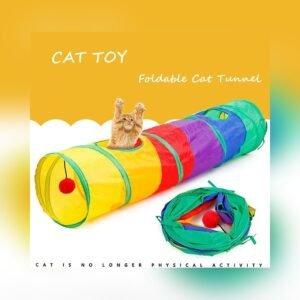 Cat Playing Tunnel with Ball