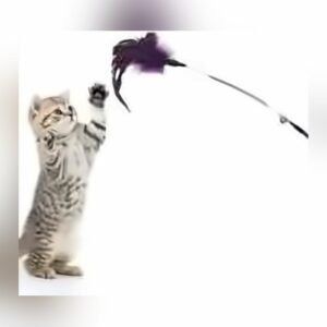 Pet Playing Stick w/Feather & Bell