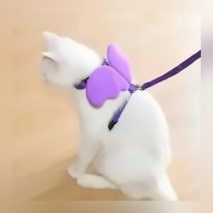 Cat Angel Wings Harness + Leash