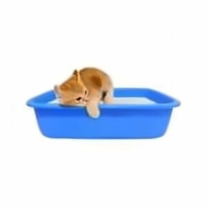 Kitten Litter Tray 400 A+Quality