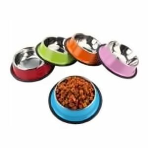 Colored Stainless Steel Bowl 22cm