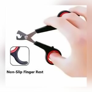 Scissor Nail Cutter Regular